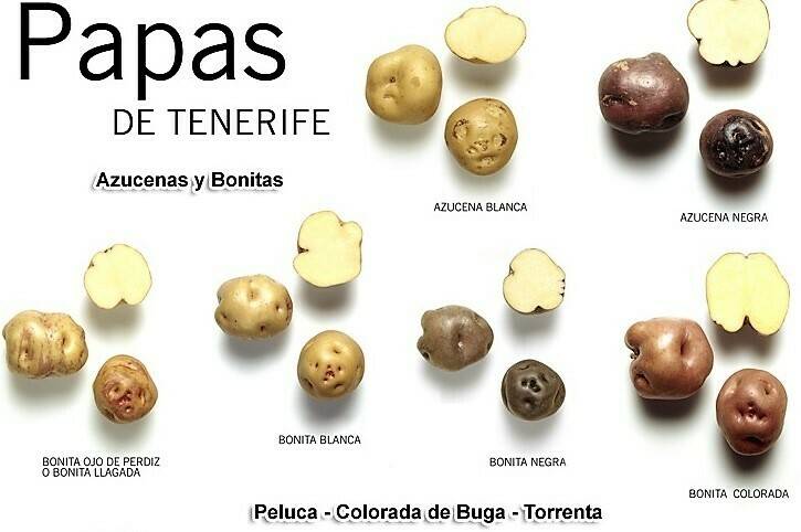 papas de Tenerife 2